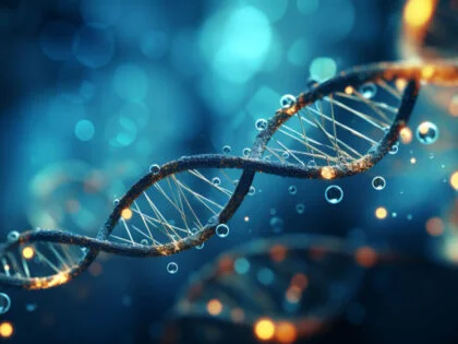 Human helix DNA structure